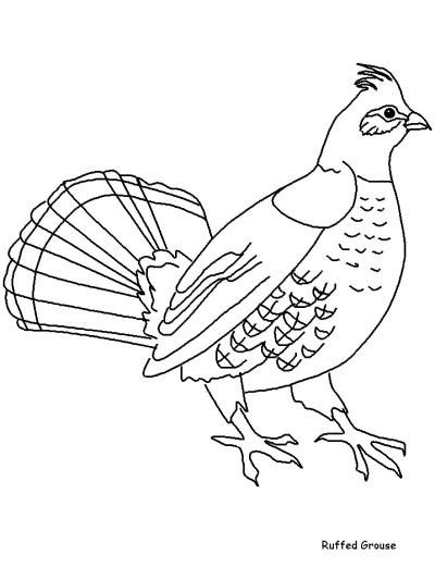 Ruffed Grouse coloring page