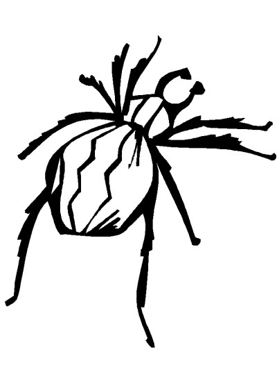 spider coloring page