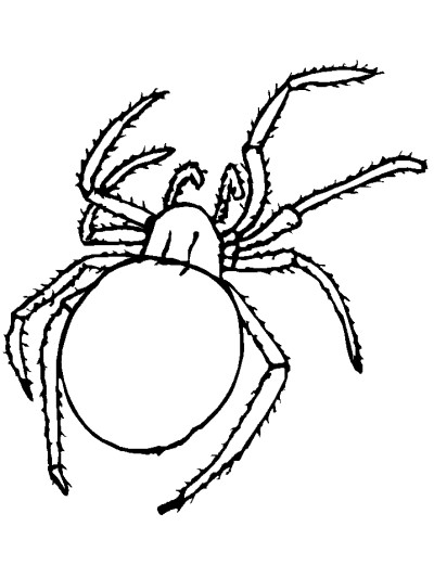 spider coloring page