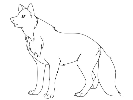 Curious Wolf coloring page