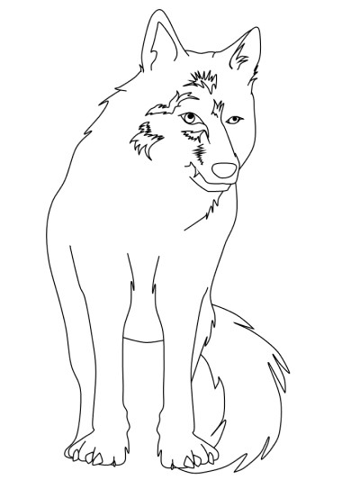 wolf coloring page