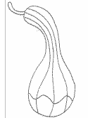 fruit coloring page