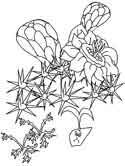 parables of Jesus coloring page