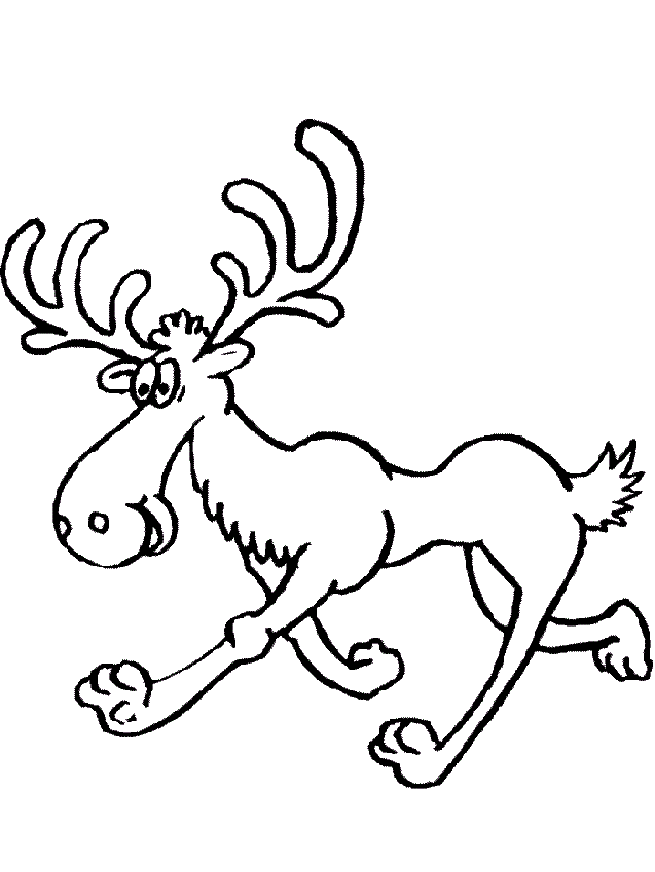 caribou coloring page