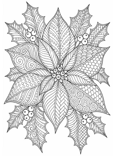 Zentangle style coloring page of poinsettia