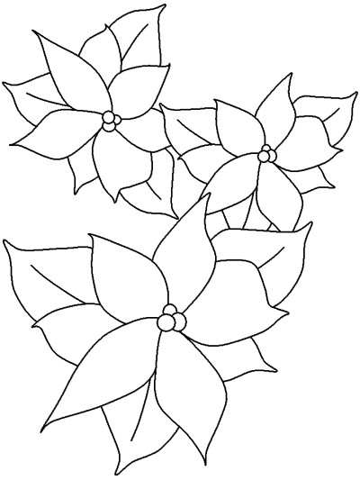 Christmas poinsettia coloring page
