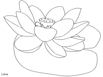 lotus flower coloring pages