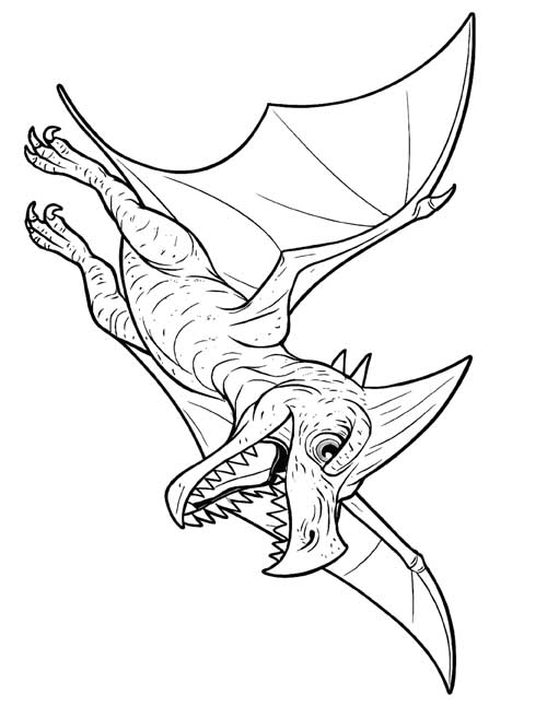 realistic coloring page of Rodan flying
