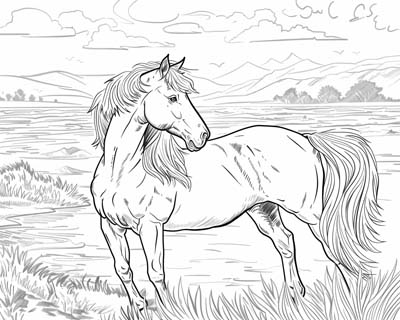 coloring page of a Welsh pony