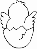 Draw the details chick