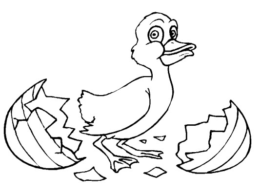 Easter duckling coloring page