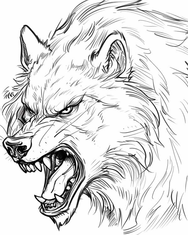 Narnia coloring page of a snarling wolf