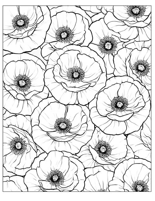all over coloring page of detailed poppies