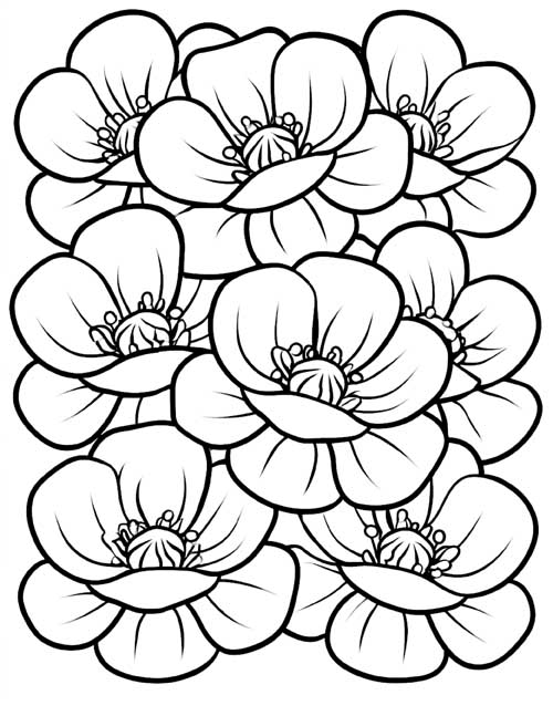 bold line coloring page of overlapping poppies