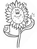 sunflower coloring page