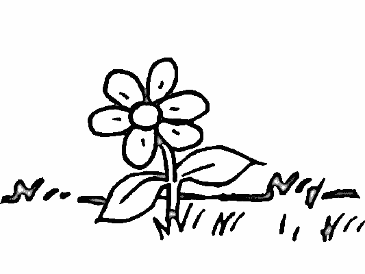 flowers coloring page