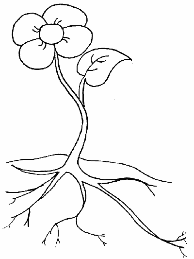 simple coloring page of a flower with roots