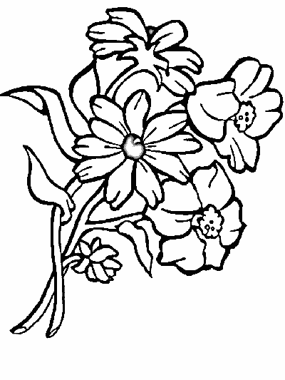 summer flowers coloring page
