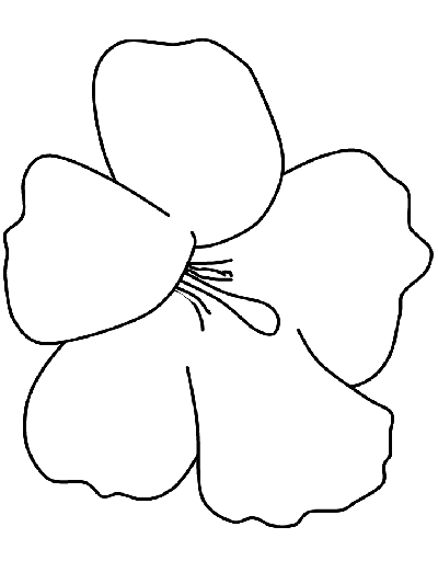 flowers coloring page