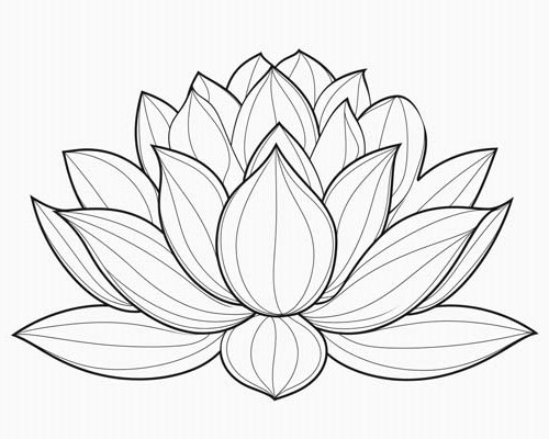 lotus flower coloring page