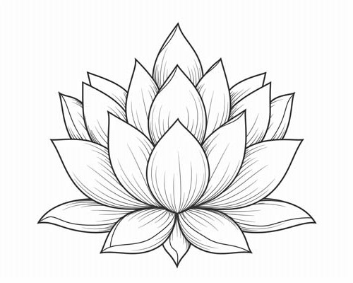 lotus flower coloring page