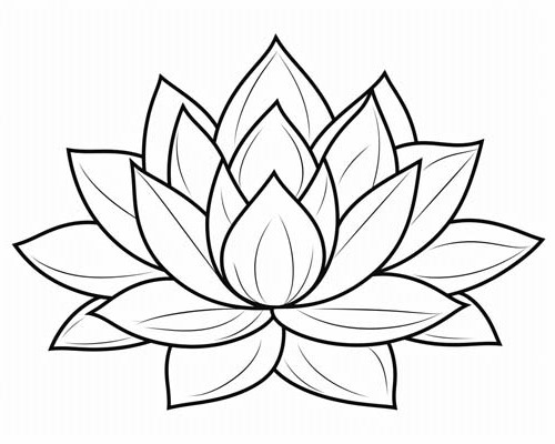 lotus flower coloring page