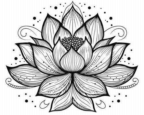 lotus flower coloring page