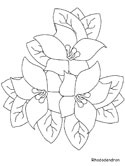rhododendron coloring page