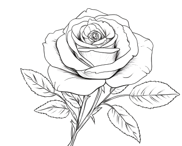 realistic rose coloring page