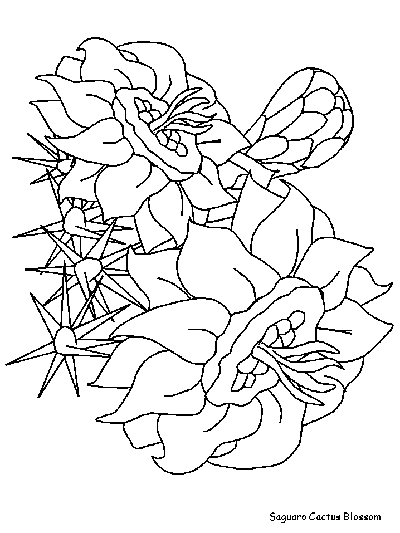 Saguaro Cactus Blossom coloring page