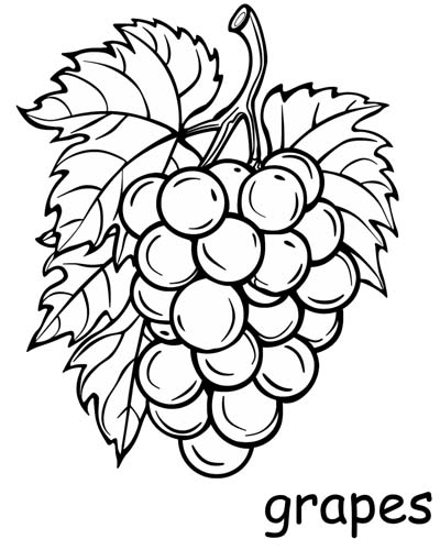 Grape Coloring Pages