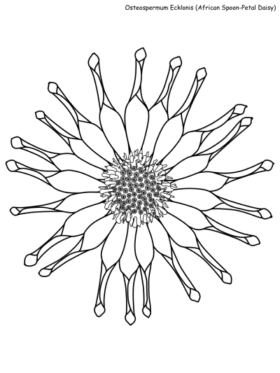 Serengeti Plant Coloring Pages