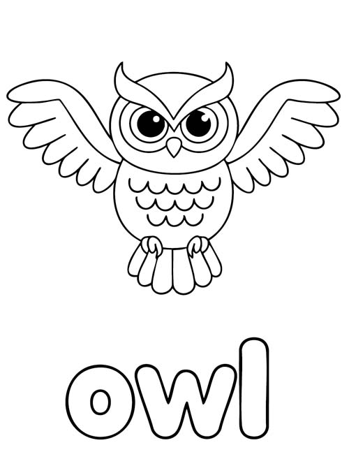 simple vocabulary word coloring page of an owl flying