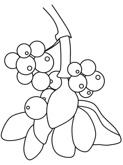 mistletoe coloring page