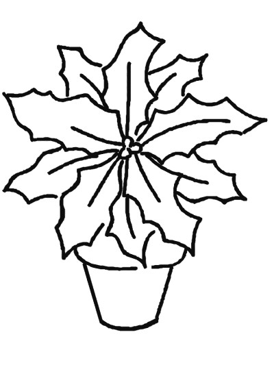poinsettia coloring page
