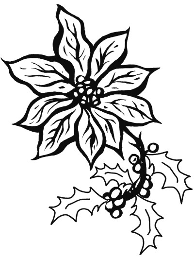 Christmas poinsettia coloring page