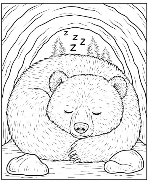 Coloring page of a bear curled up asleep in a cave