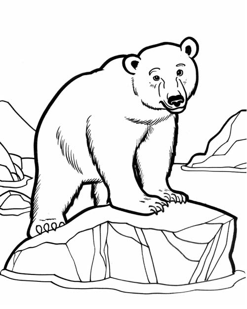 coloring page of a polar bear and an iceberg