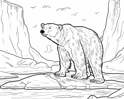 coloring page of a polar bear and an iceberg