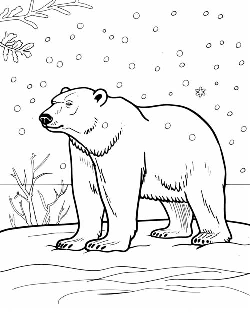 coloring page of a polar bear in the snow