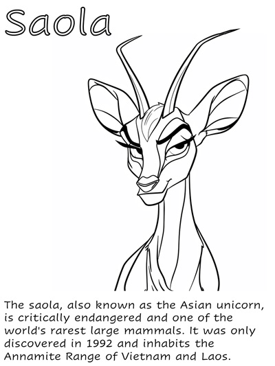 cartoon coloring page of a saola with facts