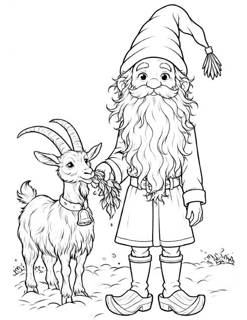 Coloring page of a tomte feeding a goat with curved horns and a bell