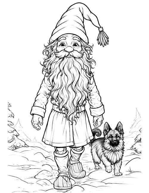 Coloring page of a tomte walking through the snow with a Swedish Vallhund, a farm dog with a curled tail