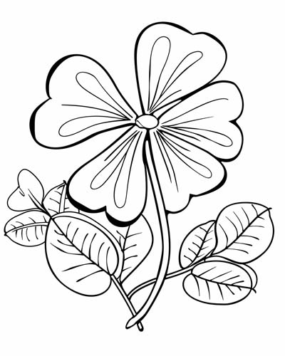coloring page of shamrocks