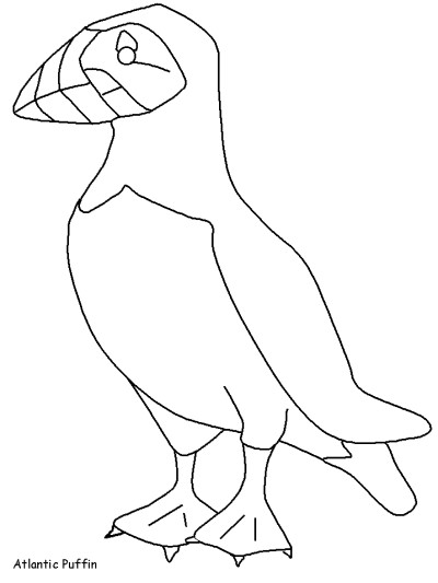 Scottish birds coloring page