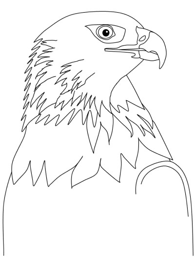 eagle head coloring page