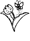 Dutch tulip coloring page