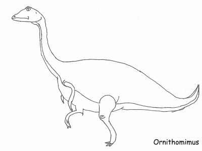 Ornithomimus coloring page