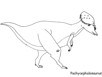 Pachycephalosaurus Coloring Page