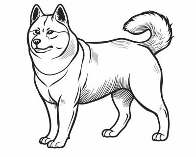 akita coloring page